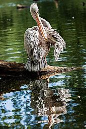 《侏罗纪世界：进化2》联动电影DLC发售 定价70元